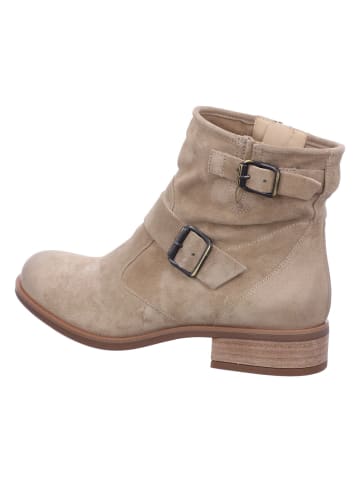 Paul Green Stiefeletten für Damen in beige