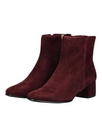 Marco Tozzi Stiefelette in Dunkelrot