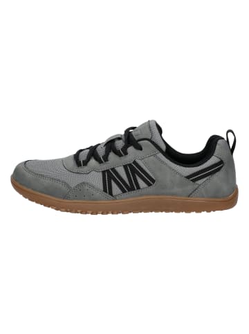 Lico Barefoot Schuhe "Aride Fit" in Grau