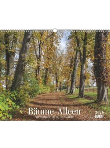 DuMont Kalenderverlag Kalender - DUMONT - Bäume - Alleen 2026 - Wandkalender 52 x 43 cm, Naturka