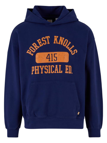 Levi´s Levi´s Kapuzenpullover in medieval blue