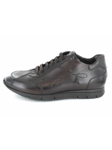 Aldo Brue Slipper in dunkelblau