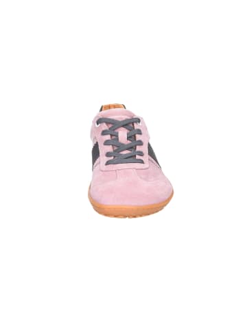 KOEL Schnürschuh in pink