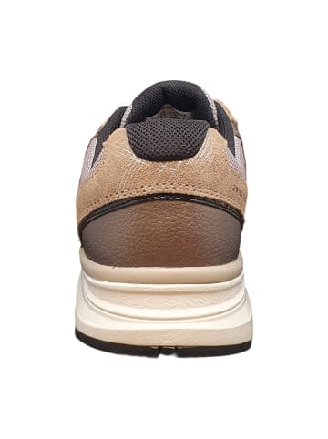 Joya Sneaker Low in Braun