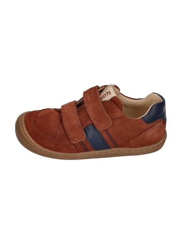 KOEL Sneaker Low BALI SUEDE 3.0 in braun