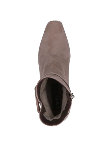 Caprice Stiefelette in TAUPE SUEDE