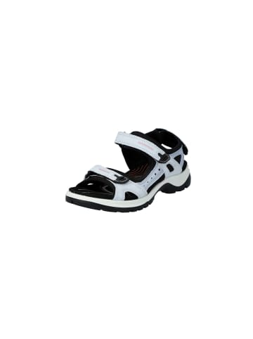 Ecco Outdoorsandalen Offroad in air/dusty blue