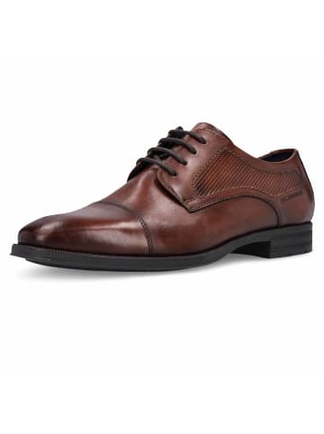 SALAMANDER Schnürschuh in braun