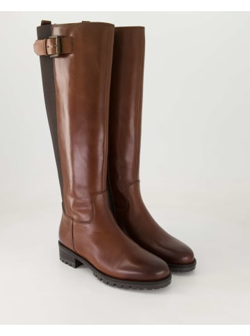 Terry Klassische Stiefel in Braun