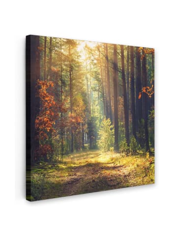 MuchoWow Leinwand bilder Waldpfad (BxH)