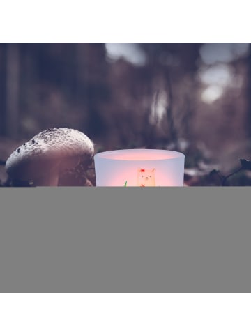 Mr. & Mrs. Panda Windlicht Katze Blumen mit Spruch in Transparent