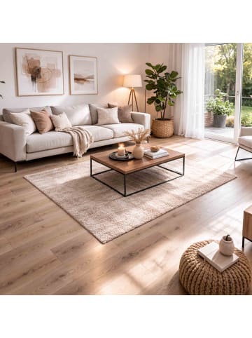 Astra Hochflorteppich SALERNO 1 in Beige