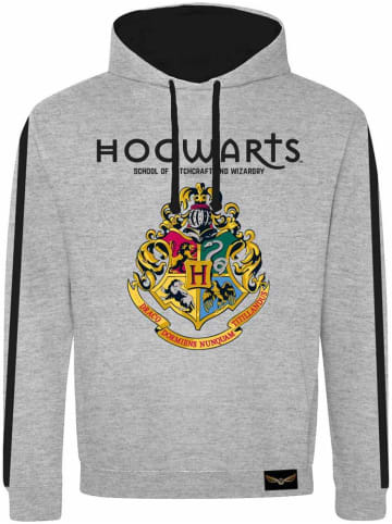 Harry Potter Hoodie in Grau