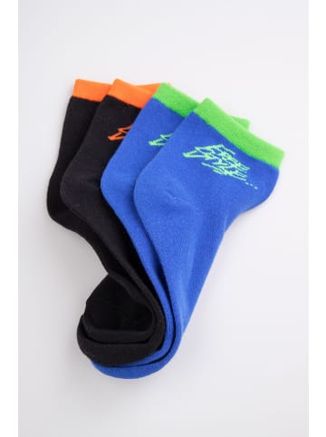 Coccodrillo Socken in bunt