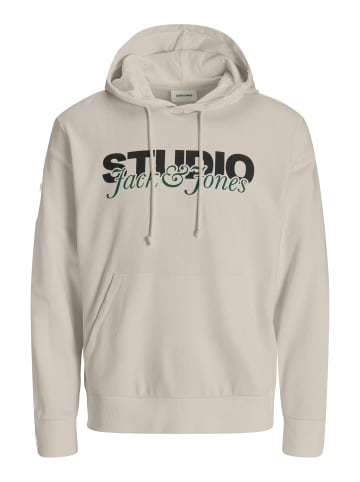 Jack & Jones Hoodie 'Yuki' in grau