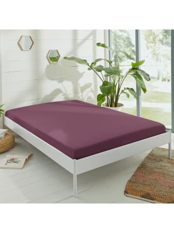 Erwin Müller Single-Jersey Spannbettlaken Murnau in aubergine