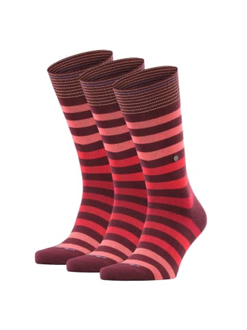 Burlington Socken 3er Pack in Bordeaux/Rot