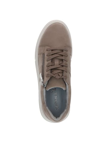 Caprice Sneaker in MUD NUBUC