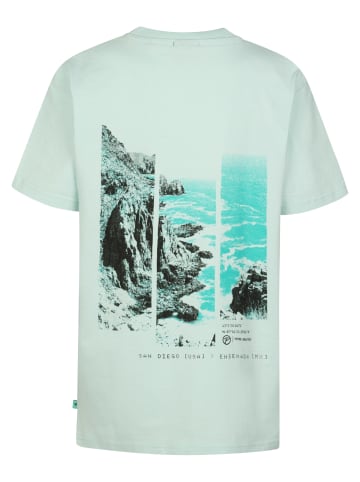 Petrol Industries T-Shirt mit Rückenprint Desierto in Grün