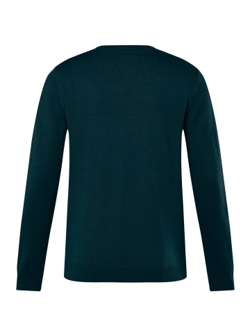 Boston Park Pullover in mitternachtsgrün