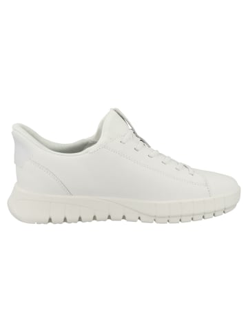 Geox Sneaker low D Flextride Plus in weiss