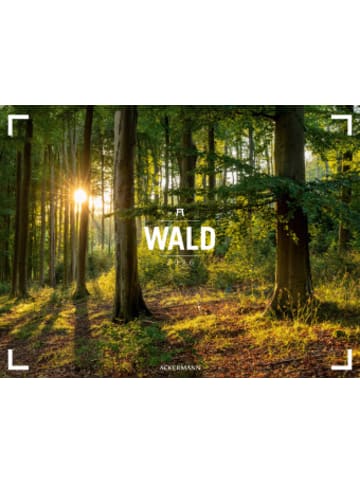 Ackermann Kunstverlag Kalender - Wald Gallery Kalender 2026