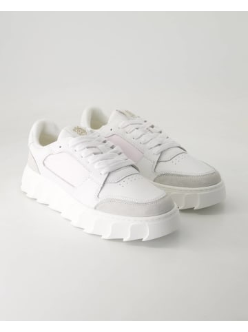 Apple of Eden Sportliche Schnürschuhe in Weiß