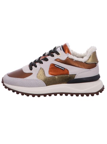 Floris van Bommel Schnürschuh in bronze