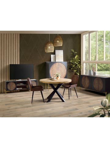 Giner y Colomer Schrank aus Mangoholz und goldfarbenem Metall in Brown