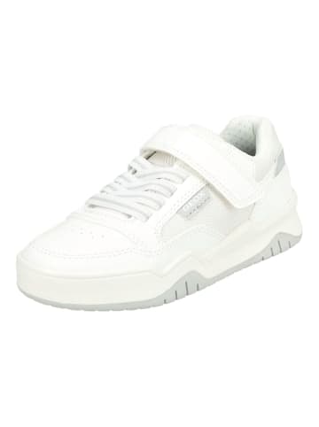 Geox Sneaker in Weiß/Grau