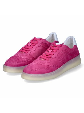 Bagatt Low Sneaker in Pink