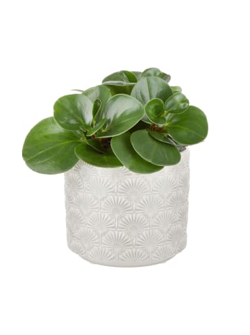 Butlers Blumentopf Ø17cm BLOOMY in Grau