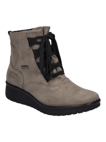 WESTLAND Stiefelette Calais in taupe