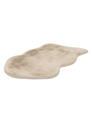 Vivorum Wohnzimmer Teppich – Hochflorteppich Boundless 226 in creme