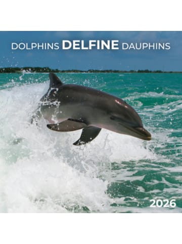 TUSHITA Kalender - Delfine/Dolphins 2026