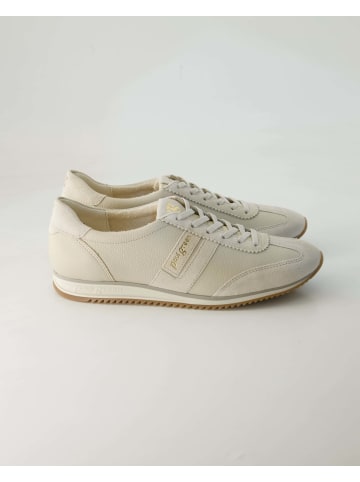 Paul Green Sneaker low in Beige