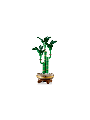 LEGO Botanical Collection Glücks-Bambus in Mehrfarbig ab 18 Jahre