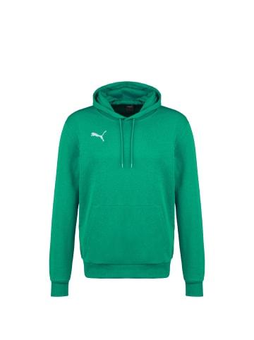 Puma Kapuzenpullover teamGOAL 23 Casuals in grün