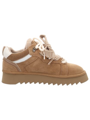 Tamaris Schnürschuh in braun