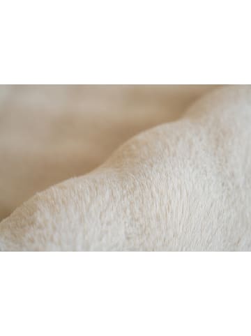 Kayoom Teppich Hailey 125 in creme - rechteckig
