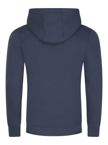 DENIMFY Sweatshirt DFArno in Blau