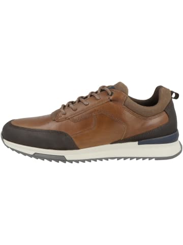 Bullboxer Sneaker low 989P21793A in braun