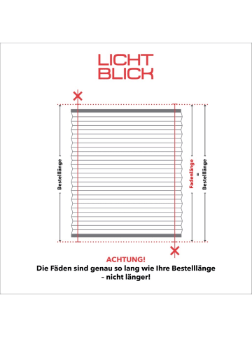 Lichtblick Plissee, Faltrollo in Anthrazit