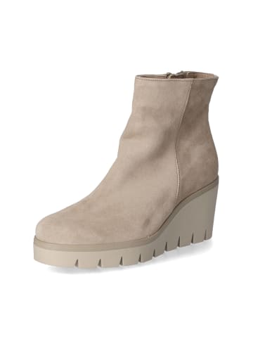 Gabor Ankle Boots in Taupe