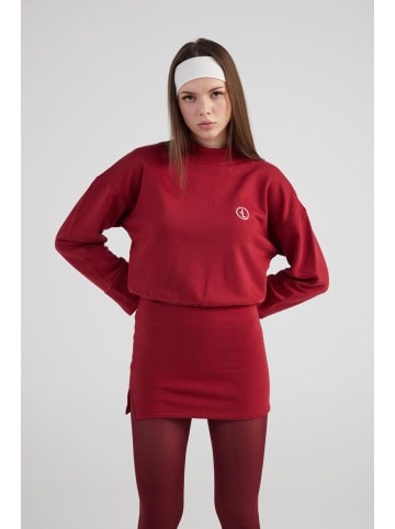 Holly Lolly Kleid in Bordeaux