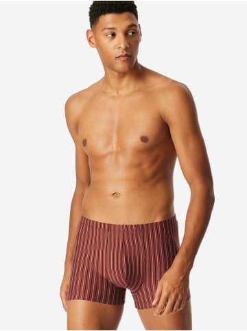 Schiesser Trunk 955 Essentials in sortiert 13