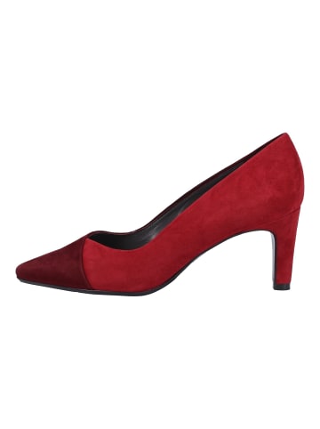 PETER KAISER Pumps in Rot