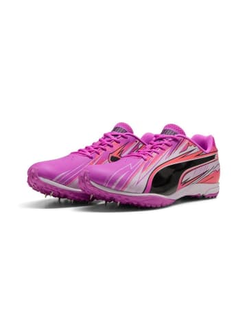Puma Sportschuh "evoSPEED Haraka Sparked" in Lila