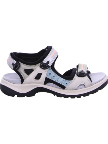 Ecco Sandale in multicolour