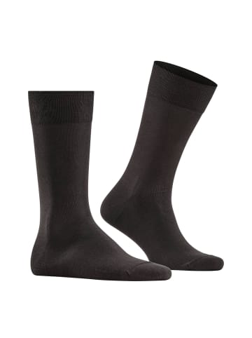 Falke Socken 2er Pack in Braun